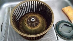 中までキレイにしたい